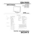 PHILIPS GDMFW900 Service Manual PHILIPS GDMFW900 Service Manual