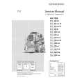 GRUNDIG T 55930 FT/IR Service Manual GRUNDIG T 55930 FT/IR Service Manual