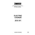 ZANUSSI ZCE531X Owners Manual ZANUSSI ZCE531X Owners Manual