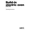 AEG B60.1LFV Owners Manual AEG B60.1LFV Owners Manual