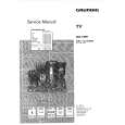 GRUNDIG M84211/8IDTVVNM Service Manual GRUNDIG M84211/8IDTVVNM Service Manual
