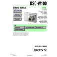 SONY DSC-W100 LEVEL3 Service Manual SONY DSC-W100 LEVEL3 Service Manual